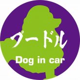 Dog in car ドッグインカー ステッカー カーステッカー プードル 毛筆書体 パープルグリーン シール 煽り運転対策 カーサイン