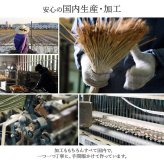 夏ラグ 夏用カーペット ラグ 国産 純国産 日本製 い草 モダン 抗菌防臭 自然素材 不織布 約191×250cm