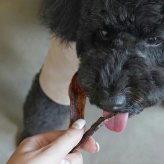 ロクバ ROKUBA カリカリジャーキー 鹿 国産 犬用おやつ 20g