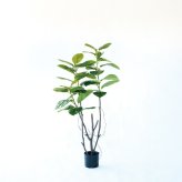 観葉植物 造花 フィカス ソフィア BROWN 全高約140cm 大型 ゴムの木 フェイクグリーン 本物そっくり おしゃれ インテリア 人工観葉植物 アーティフィシャルグリーン オフィス 店舗 ホテル 開店祝い 室内 フェイク