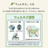 LOUGH GIGGLE ラフギーグル ウェルネスウェア 犬服 L インディゴブルー