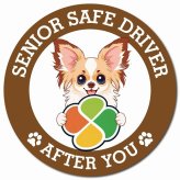 カーサイン 高齢者マーク SENIOR SAFE DRIVER パピチワ マグネット 強力 直径13cm 肉球 日本製 車 ステッカー