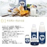 ヤスダヨーグルト ギフトセット 10点 セット 乳製品  飲むヨーグルト ドリンクヨーグルト ブルーベリー 越後姫 バナナ プレーン 新潟県産生乳 お歳暮 内祝い 贈り物 ギフト プレゼント お祝い お熨斗 化粧箱入り 季節の味わいを楽しむ贅沢なギフト 送料無料