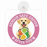カーサイン 高齢者マーク SENIOR SAFE DRIVER ラブラドールレトリバー 車内用 吸盤タイプ 収れん火災防止タイプ 肉球 日本製 車 ステッカー