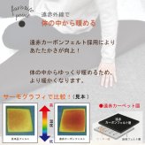ホットカーペット 遠赤外線 速暖 2畳 2点セット カバー付き 本体＋ラグカバー 約185×185cm サークル柄 ねこ柄 厚手 カーペット ラグマット 電気カーペット 抗菌 防臭 蓄熱 省エネ オフタイマー付き 北欧