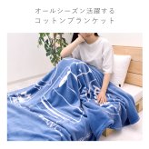 綿毛布 シングル ハーフ 日本製 西川 泉大津 毛布 ブランケット オーガニックコットン コットンケット 風で紡ぐ糸 サステナブル ピーナッツ PEANUTS スヌーピー SNOOPY 大人かわいい マイヤー キャラクター FQ05101602