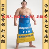 安青錦 新大 関　優勝ミニ額 大相撲ミニ額 大相撲優勝額　令和８（２０２６）年７月場所 優勝 関脇 安青錦 関（３回目）優勝記念品 相撲グッズ 力士グッズ 相撲取りグッズ 国技館 限定品 記念品 コレクション 写真 R0807