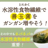無添加 すごいねばねばグリーンポタージュダイエットスープ12食