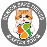 カーサイン 高齢者マーク SENIOR SAFE DRIVER エキゾチックショートヘア マグネット 強力 直径13cm 肉球 日本製 車 ステッカー