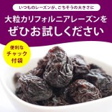 前田家 大粒レーズン ノンオイル カリフォルニア産 300g/500g/700g 無添加 砂糖不使用 種なし ドライフルーツ 干しぶどう レーズン 大粒 製菓材料 おやつ 送料無料 MAEDAYA