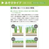 リアル人工芝 クローバーターフ あそびタイプ 幅1m×長さ10m 芝丈30mm グリーンカラー 室内 水はけ 芝生マット 人工芝生 人工芝ロール 芝生 ロールタイプ 庭 ベランダ テラス バルコニー ガーデニング ガーデン 屋上緑化   雑草対策