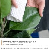 照明 ライト パキラ 観葉植物 人工 フェイクグリーン 室内 リビング オフィス 一人暮らし 緑 インテリア 光触媒 空気清浄 消臭 抗菌 防汚 ホルムアルデヒド分解 おしゃれ 高さ150cm 造花 植木 鉢植え 新築祝い 開店