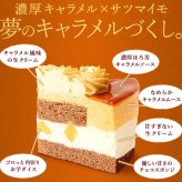 ＼早割！／ クリスマスケーキ クリスマスプレゼント 予約 2026 キャラメル ムース ケーキ キャラメルケーキ 4号 2人 3人 スイーツ お菓子 洋菓子 可愛い かわいい おしゃれ おいもや