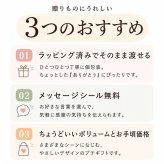プチギフト スターバックス コーヒー × ビスコフ 4袋セット 送料無料 個包装 おしゃれ 退職 お礼 ギフト 配る用 お菓子 詰め合わせ バレンタイン ホワイトデー スタバ 食品