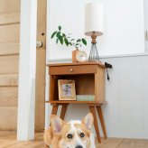 DADWAYPET ダッドウェイペット FAD ファッド レザー＆コットン・トイ ロープディスク 犬用おもちゃ