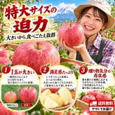 青森県産　りんご　世界一　特大　訳あり　家庭用　5kg　9～14玉　送料無料！