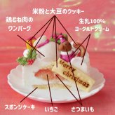 クリスマス【おさぼりサンタ（プチ）】