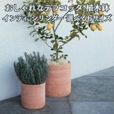 植木鉢 おしゃれ 大型 テラコッタ 素焼き シリンダー KONTON コントン インティ IN-002T XXL XL L M S XS 約16号 15号 約12号 約10号 約8号 7号 底穴あり 屋外 テラス 庭 玄関 観葉植物 多肉植物 サボテン シンボルツリー オリーブ ハーブ 果樹 北欧 ナチュラル シンプル
