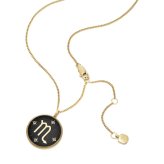 フォッシル FOSSIL Sutton アクセサリー ネックレス ペンダント さそり座 レディース JF04845710