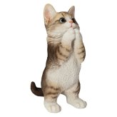 置物 猫 おねだり濃茶トラ白猫 高さ23cm woobia ウービア リアル かわいい おしゃれ 玄関 インテリア オブジェ ガーデン 茶トラ おねだり ねこ ネコ 動物 アニマル 癒し 棚 北欧 プレゼント ギフト 新築祝い 猫好き