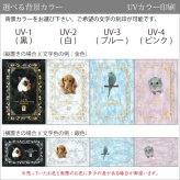 ペット メモリアル グッズ 名入れ フォト 位牌 ガレナ SUP-1 遺影 御供 仏具 供養 手元供養 仏壇 葬儀 49日 虹の橋 思い出 かわいい おしゃれ 犬 猫 うさぎ インコ ハムスター 小動物