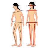足腰ピンとサポーター 2足4枚組 日本製 内側荷重 姿勢矯正 O脚対策 重心移動 膝 腰 負担軽減 綿混素材 22.5?27cm 男女兼用