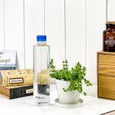 PLANCHU 観葉植物 ペペロミア デピーナ 3.5号鉢 受け皿付き 育て方説明書付き Peperomia deppeana アロマペペ