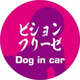 Dog in car ドッグインカー ステッカー カーステッカー ビションフリーゼ 毛筆書体 ピンクパープル シール 煽り運転対策 カーサイン