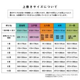 夏ラグ 夏用カーペット い草 上敷き カーペット 制菌 抗菌防臭 消臭 小林製薬KOBA-GUARD 江戸間3畳(約176×261cm）
