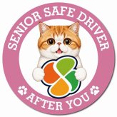 カーサイン 高齢者マーク SENIOR SAFE DRIVER エキゾチックショートヘア マグネット 強力 直径13cm 肉球 日本製 車 ステッカー