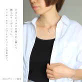 ハワイアンジュエリー ネックレス シルバー ネックレス ドルフィン イルカ ジルコニア 小さくても存在感 シンプル シルバー925 ギフトラッピング可能 チェーン 長さ選べる プレゼント ハロウィン 【品番：CG-PSP-009】