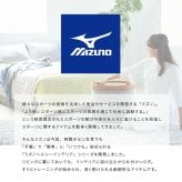 \クーポン配布中/ トレーニング用品 エクササイズ グッズ ミズノ mizuno トランポリン ラパン TRAMPOLINE lapin 体幹 フィットネス 室内用 宅トレ 全身運動 日本製 グレー ブラウン カバー洗濯可 折りたたみ クッション です