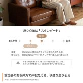 ソファ 座椅子 2人掛け ロー ー Carlos カルロス レザー レザー風 革 皮 合皮 コンパクト I字 2P かっこいい 肘付き アームレスト 組立簡単 リビング 一人暮らし ワンルーム 2人暮らし 幅135 高級感 重厚感
