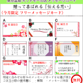 出猩々もみじ 人気ギフト 盆栽 希少 樹齢6年 日時指定可 育て方ガイド付 ラッピング無料 記念樹 鉢植え シンボルツリー 日本庭園 苔リウム 盆栽 もみじ 室内 初心者 おしゃれ 花 誕生日 引っ越し 還暦 退職 お祝い 母の日 父の日 プレゼント