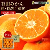 みかん 超特選 有田みかん 送料無料 小玉 高級 糖度12度以上 光センサー選果 船林 ふなりん S M 12～14個 和歌山 手詰め ご当地 お贈答 結婚 出産 内祝い 誕生日プレゼント ギフト 誕生日 結婚祝い 出産祝い 内祝い ギフト