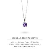 アメシスト ネックレスプラチナ ネックレス 2月誕生石 アメジスト 一粒 PT950 プラチナ950 白金 チェーン 長さ選べる 40cm 45cm 50cm ギフトラッピング可能 シンプル 華奢 上品 Rapture 彼女 妻 女性 レディース 誕生日 プレゼント ハロウィン 【品番：CG-RSP-29051PT-2】