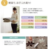 ラグ カーペット 3畳 洗える 抗菌 防臭 無地 『WSプランタ』 約200×250cm （ホット 対応）