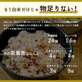 雑穀 雑穀米 国産 麦の恵み24穀米ブレンド【選べる800g~4kg】雑穀米本舗 [丸麦/押麦/はだか麦/もち麦/はとむぎ] 無添加 無着色 徳用サイズ 送料無料