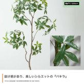 【高さ200cm】光触媒人工観葉植物 パキラ 曲がり 幅55cm×奥行50cm×高さ200cm オフィス 天然木 組立品 お部屋に気軽に飾れて空間を美しく彩るフェイクグリーン 本物の植物のようなリアルな質感とインテリアに馴染む風合いが魅力です