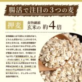 雑穀 雑穀米 国産 麦の恵み24穀米ブレンド【選べる800g~4kg】雑穀米本舗 [丸麦/押麦/はだか麦/もち麦/はとむぎ] 無添加 無着色 徳用サイズ 送料無料