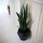観葉植物 造花 サンスベリア・ゼラニカ BROWN 全高約97cm フェイクグリーン 高級 本物そっくり リアル おしゃれ 多肉植物 インテリア 人工観葉植物 アーティフィシャルグリーン モダン スタイリッシュ オフィス 店舗 開店祝い 室内 リビング 玄関 寝室 風水 サンセベリア