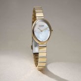 スカーゲン SKAGEN 腕時計 レディース 二針 ANITA OVAL ツートーン  SKW3183【2026 新作】