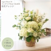 【Lagom Bloom 05】Cozy living　生花のアレンジメント インテリアのようなお花 新築のお祝いや開店のお祝いなど空間のインテリアのように飾ることができるお祝い花です 送料無料 生花 アレンジメント 誕生日 花 ギフト 送料無料 白 お祝いアレンジメント 御祝 記念日 開店御祝い 自宅用 お供え フラワーギフト 展示会 楽屋花 受付 おしゃれ 母の日 敬老の日 お中元 お歳暮
