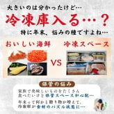 【予約】おせち2027【海鮮おせち 3段重 晴海】海鮮ざんまい 3から5人前 冷凍 個包装 重箱入り 刺身 アワビ いくら カニ 数の子 うに お子さんお孫さんと一緒に楽しめる ギフトにもおすすめ