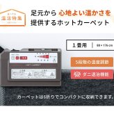 電気ホットカーペット 3畳用 ホットカーペット 3畳 電気カーペット ダニ退治 暖面切替 3面 省エネ タイマー こたつ 併用 日本製 195×235cm 送料無料