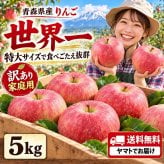 青森県産　りんご　世界一　特大　訳あり　家庭用　5kg　9～14玉　送料無料！