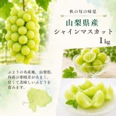 【産地直送】山梨県産 シャインマスカット 特秀品 約1kg｜秋ギフト・誕生日・内祝い・贈答用
