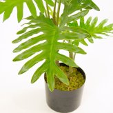 観葉植物 造花 セローム BROWN 全高約70cm 卓上・小型 フェイクグリーン 本物そっくり おしゃれ インテリア 人工観葉植物 アーティフィシャルグリーン オフィス 店舗 ホテル 開店祝い 室内 ミニ フィロデンドロン フェイク
