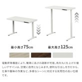 電動昇降デスク 幅120cm テーブル ワークデスク『電動昇降デスク SD』高さメモリー機能 高さ調整 USB付き おしゃれ 電動昇降テーブル PCデスク パソコンデスク オフィスデスク ゲーミングデスク 昇降デスク 昇降テーブル 電動 昇降 デスク