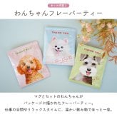 【 ラッピングでお届け 】Loulou ぷっくりワンマグと紅茶のギフトセット 雑貨 マグカップ 電子レンジ対応 食洗器対応 ルルワン フレーバーティー 犬 シュナウザー コーギー トイプードル ポメラニアン ギフト プレゼント 実用的 女性 ラッピング 誕生日 母の日 お祝い お返し 退職 異動 挨拶 お礼  ラッピング メッセージカード